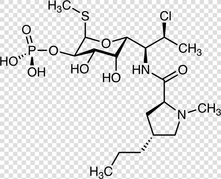 Clindamycin Phosphate   Clindamycin  HD Png DownloadTransparent PNG