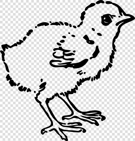 Baby Chick Svg Clip Arts   Black And White Clip Art Chick  HD Png DownloadTransparent PNG