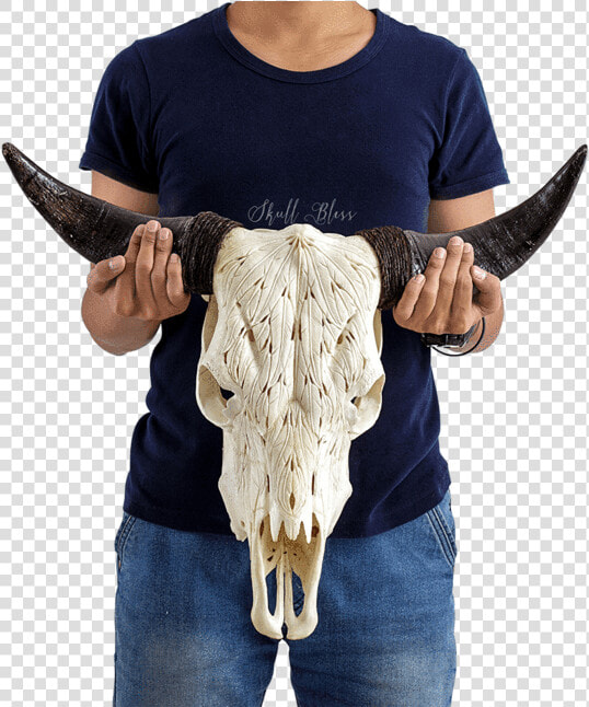 Carved Cow Skull    Xl Horns   Mandala Bull Skull Painted  HD Png DownloadTransparent PNG