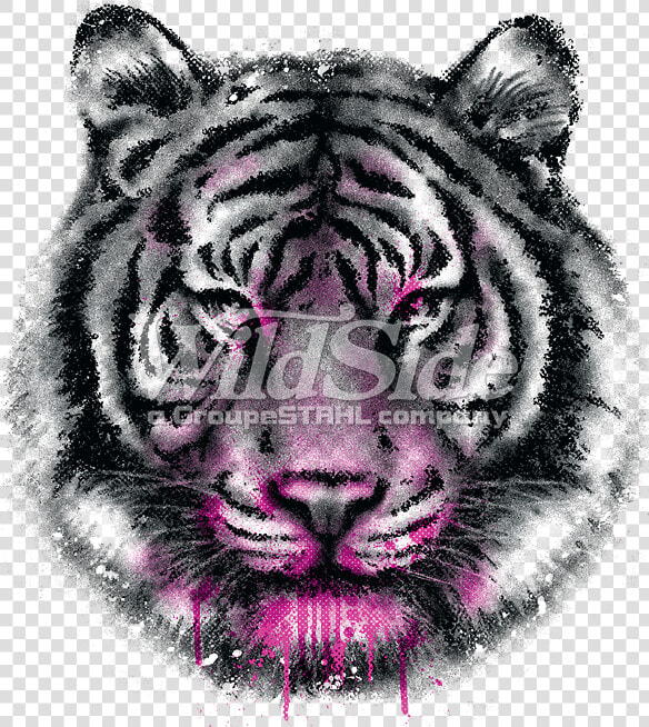 Tiger Face Png  tiger Face   Diseño De Cara De Tigre  Transparent PngTransparent PNG