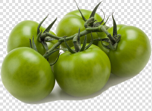 Green Vine Tomatoes   Tomato Green On Vine  HD Png DownloadTransparent PNG