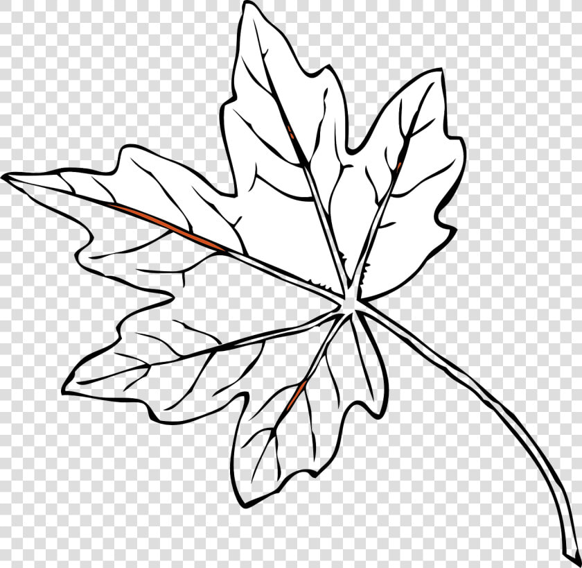 Transparent Leaves   Papaya Leaves Black And White  HD Png DownloadTransparent PNG