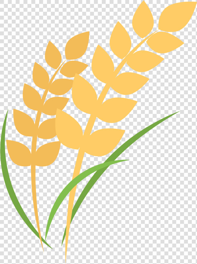 Rice Plant Cartoon Png   Png Download   Clipart Rice Plant Png  Transparent PngTransparent PNG