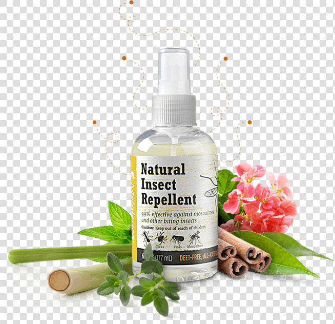 Melaleuca Natural Insect Repellent  HD Png DownloadTransparent PNG