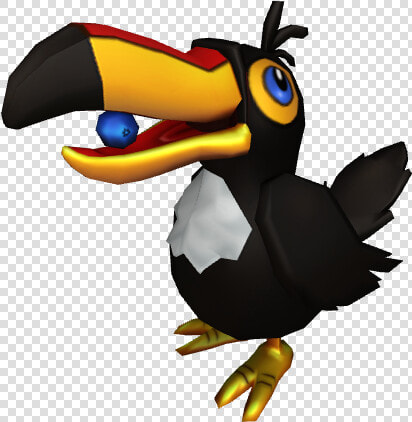 Toucan Shoulder Pal   Hornbill  HD Png DownloadTransparent PNG