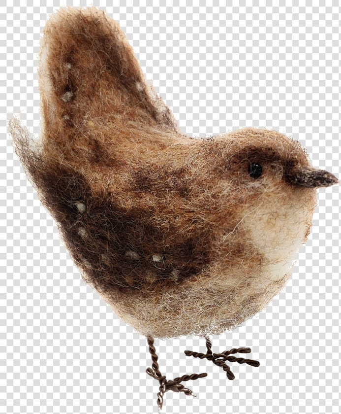 Wren  HD Png DownloadTransparent PNG