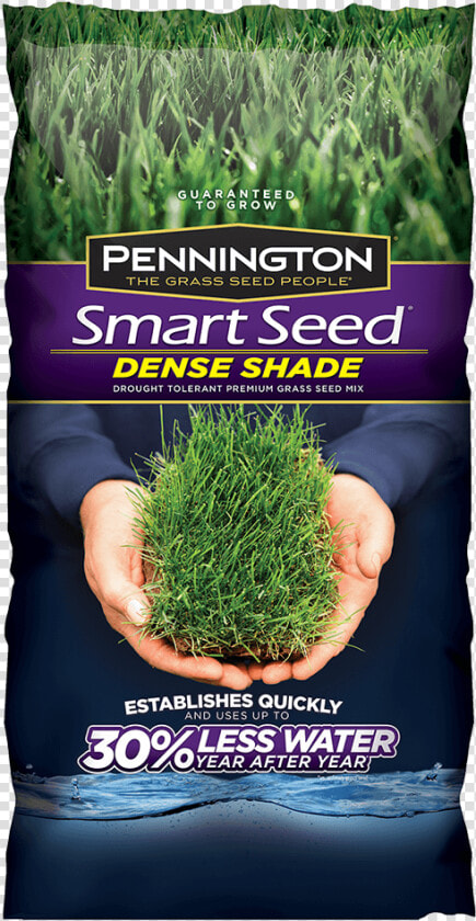 Pennington Shade Grass Seed  HD Png DownloadTransparent PNG