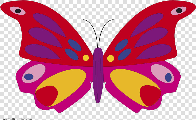 Butterfly Raster Picturet   Butterfly Bitmap  HD Png DownloadTransparent PNG