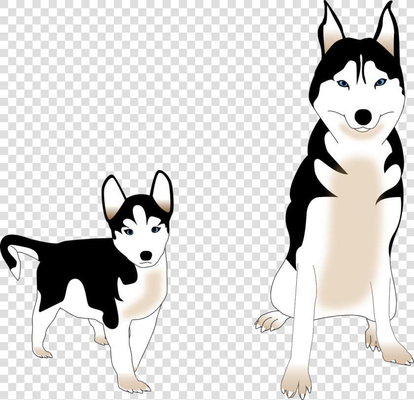 Husky Siberiano Vector Png  Transparent PngTransparent PNG