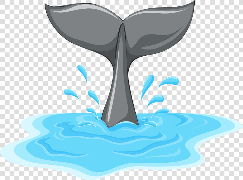 Whale Tail Png Clipart   Cola De Ballena Dibujo  Transparent PngTransparent PNG