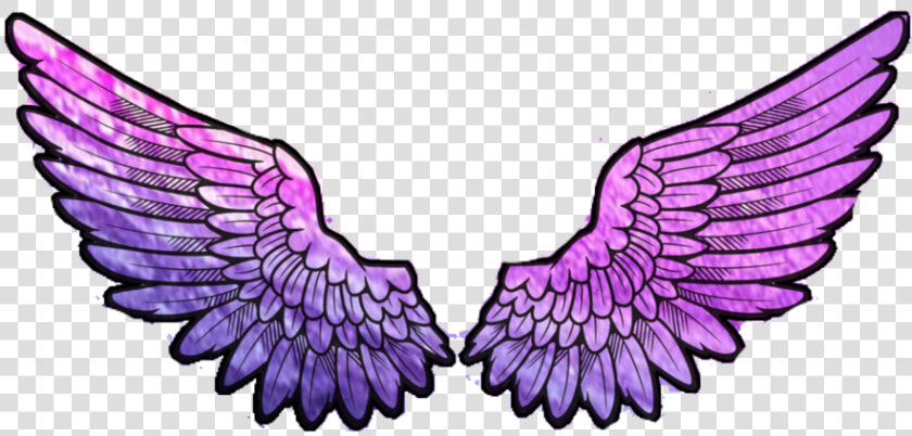  aesthetic  wings  angelwings  galaxy  pastel  purple   Eagle  HD Png DownloadTransparent PNG