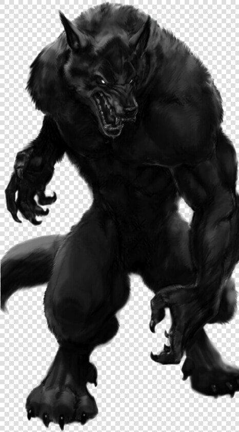 Werewolf Png  Transparent PngTransparent PNG