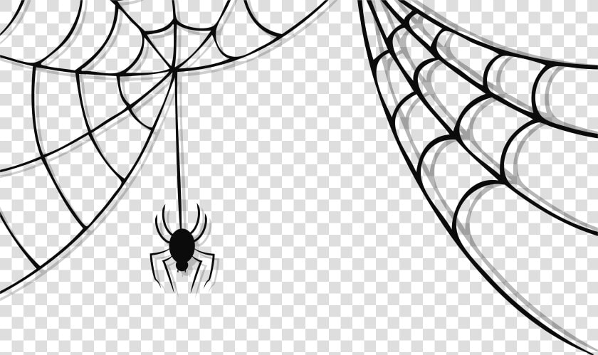 Collection Of Web   Transparent Background Spider Web Png  Png DownloadTransparent PNG