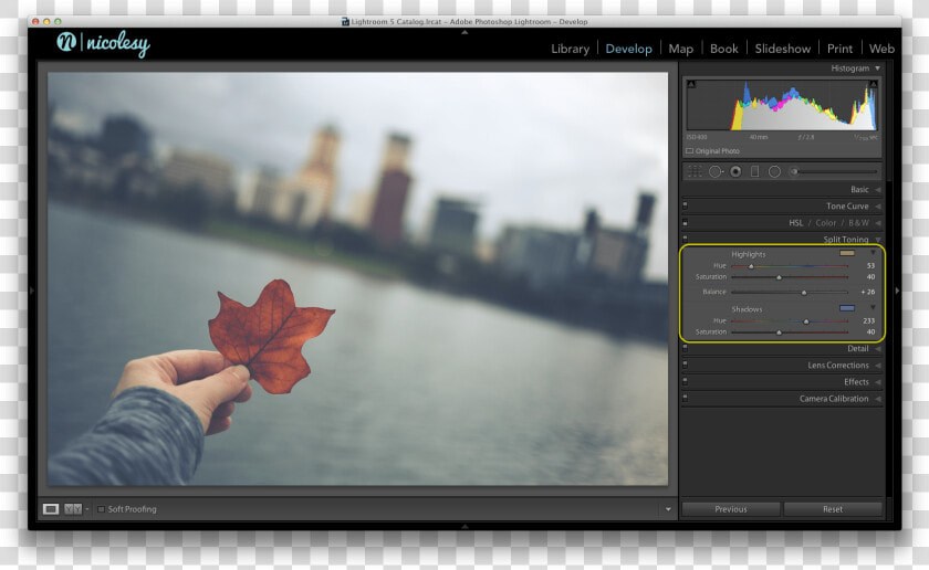 Get A Soft Look In Lightroom  HD Png DownloadTransparent PNG