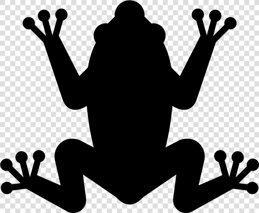 Transparent Frogs Png   Mass Extinction Icon  Png DownloadTransparent PNG