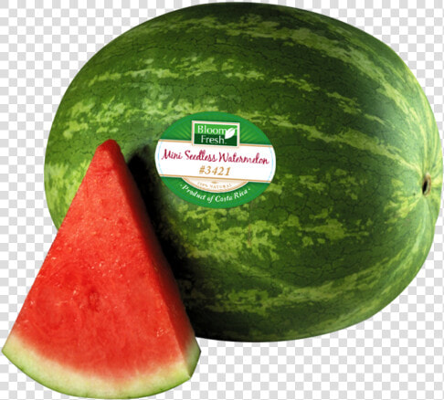 Watermelon Png Transparent Images   Watermelon Clip Art  Png DownloadTransparent PNG