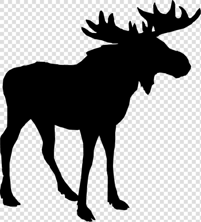 Clip Art Deer Silhouette Alaska Moose Image   Moose Silhouette Free  HD Png DownloadTransparent PNG