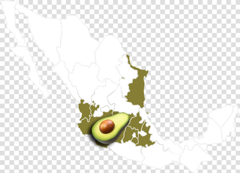 Chia Seed Origin Map  HD Png DownloadTransparent PNG