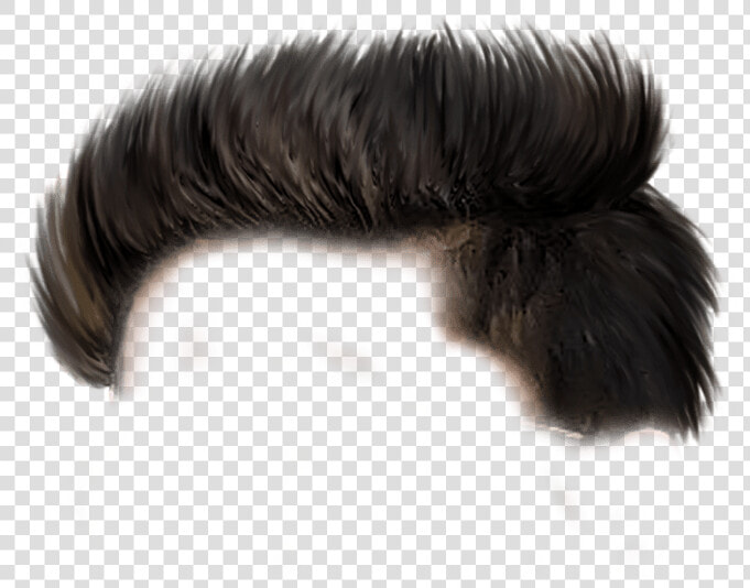 Hair Png  Hd Background Download  Background Images   Png Hair Styles For Picsart  Transparent PngTransparent PNG