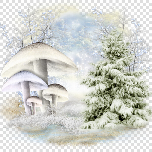 Arrière plan Png Pour Créa D Hiver   Tree With Snow Transparent Background  Png DownloadTransparent PNG