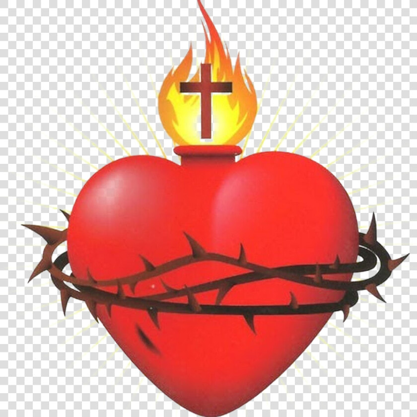 Transparent Sacred Heart Of Jesus Clipart   Sacred Heart Catholic Symbol  HD Png DownloadTransparent PNG