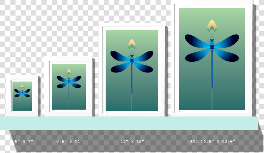 Rkr Sizes Dragonfly   Graphic Design  HD Png DownloadTransparent PNG