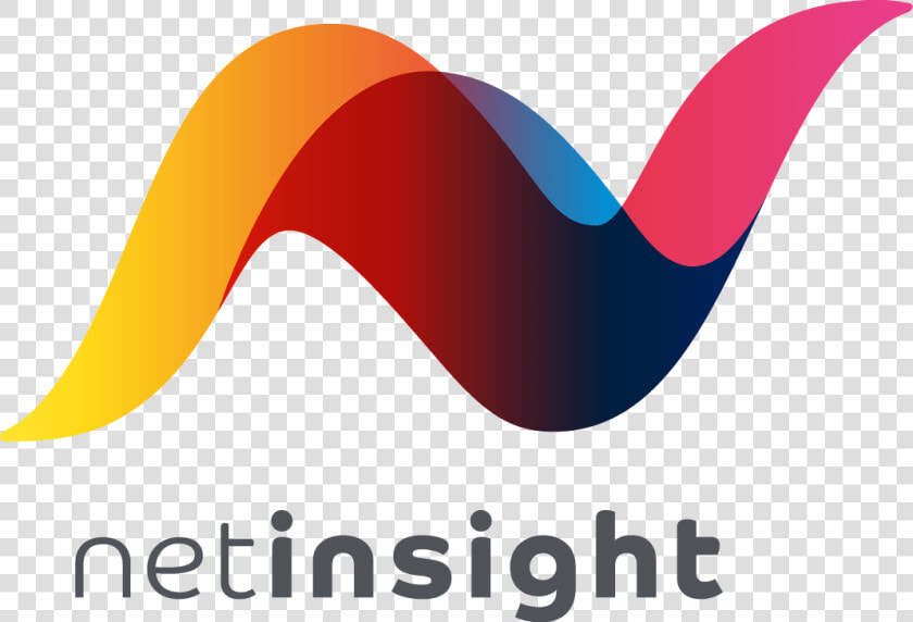 Net Insight Logo  HD Png DownloadTransparent PNG