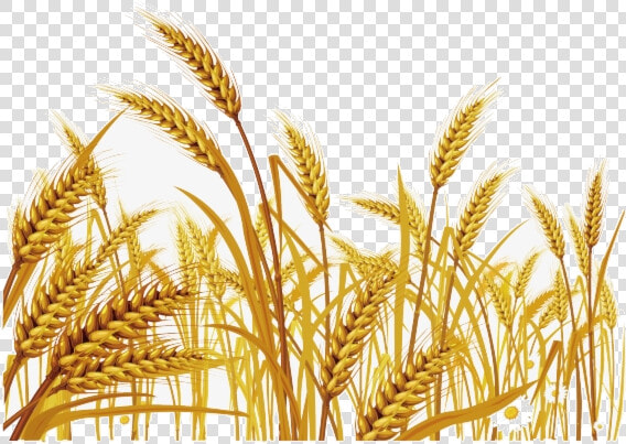 Wheat Malt Clipart Grass Free Transparent Png   New Jerusalem Heavenly Mother  Png DownloadTransparent PNG