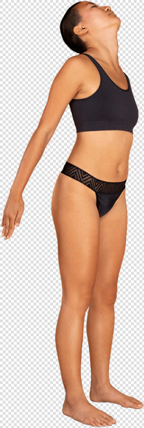 Panties Png  Transparent PngTransparent PNG