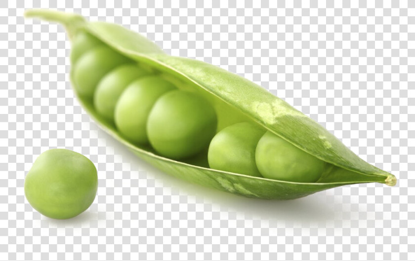 Pea Png Image Transparent   Pea  Png DownloadTransparent PNG