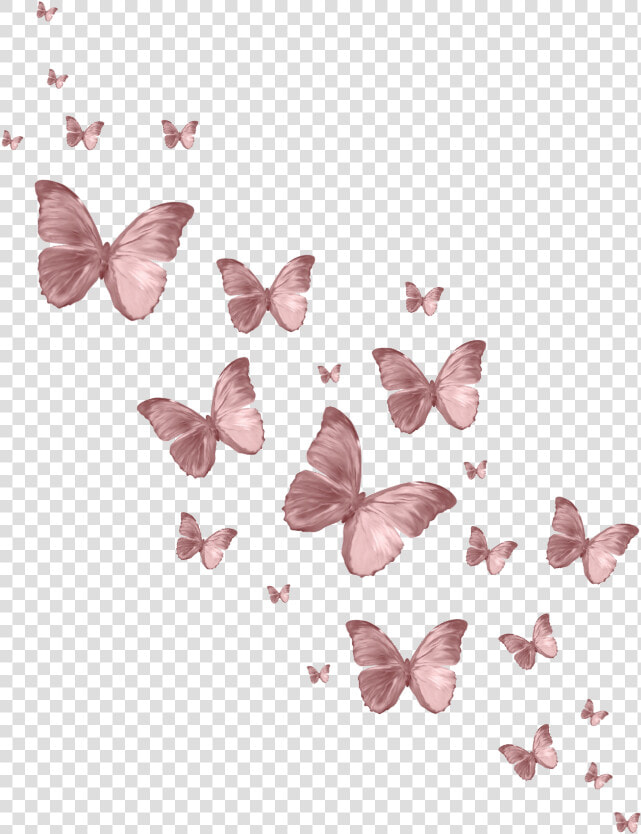  butterfly  butterflys  pink  vintage  aesthetic  edit   Lycaena  HD Png DownloadTransparent PNG