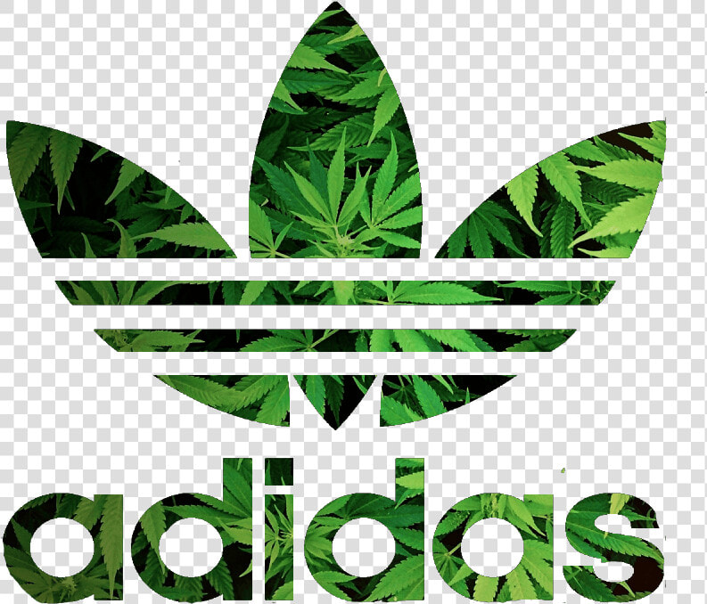 Png Adidas Logo   Adidas Logo Png  Transparent PngTransparent PNG