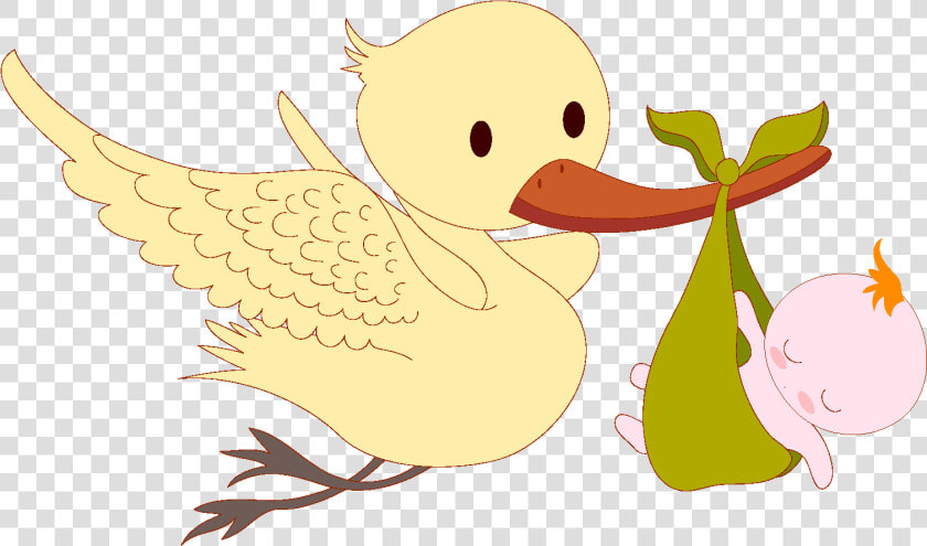 Cartoon Cute Bird Baby Element   Illustration  HD Png DownloadTransparent PNG