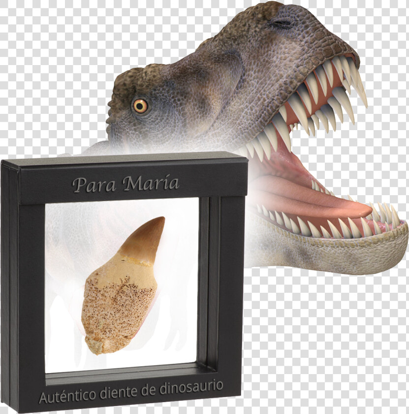 Dientes Dinosaurios  HD Png DownloadTransparent PNG