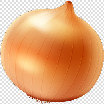 Single Onion Free Png Image   Yellow Onion Png  Transparent PngTransparent PNG