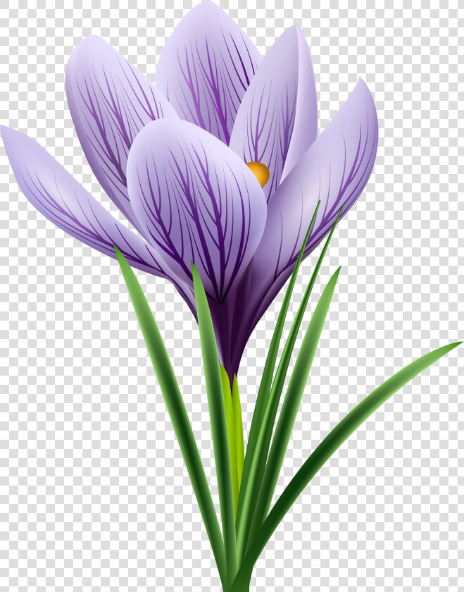 Transparent Autumn Flowers Png   Png Transparent Saffron Flowers  Png DownloadTransparent PNG