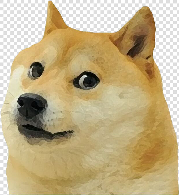 Doge Meme Png Photo   Shiba Inu Meme Png  Transparent PngTransparent PNG