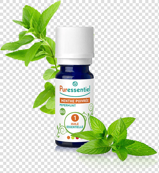 Puressentiel Essential Oil Peppermint 10ml   Mint Leaf Png  Transparent PngTransparent PNG