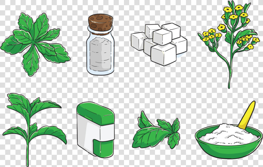 Free Hand Drawn Stevia Vector   Stevia Clipart  HD Png DownloadTransparent PNG