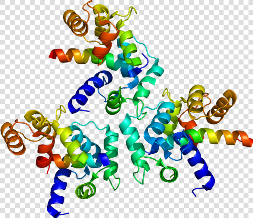 Protein Cacna1d Pdb 2be6   Cav1 2  HD Png DownloadTransparent PNG