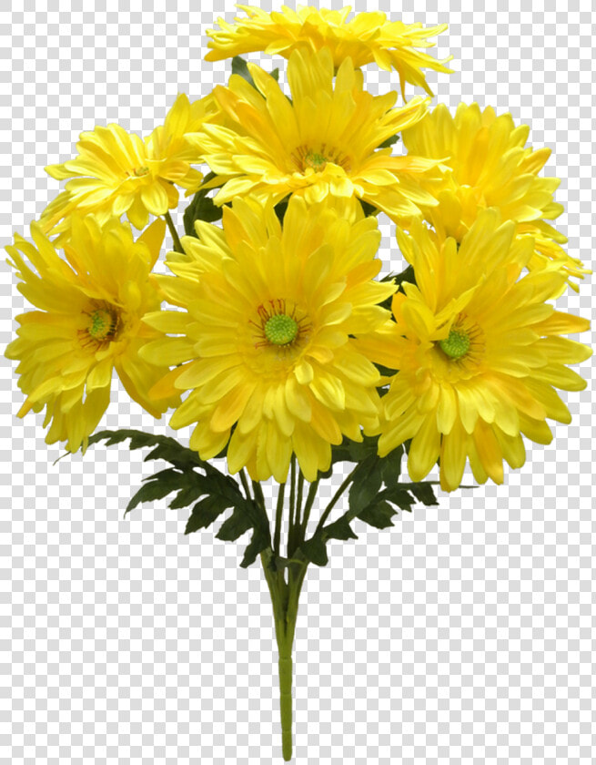 21   Chrysanths  HD Png DownloadTransparent PNG