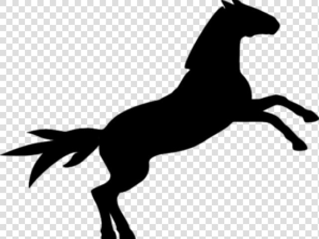 Mustang Clipart Kuda   Jumping Horse Cartoon Silhouette  HD Png DownloadTransparent PNG