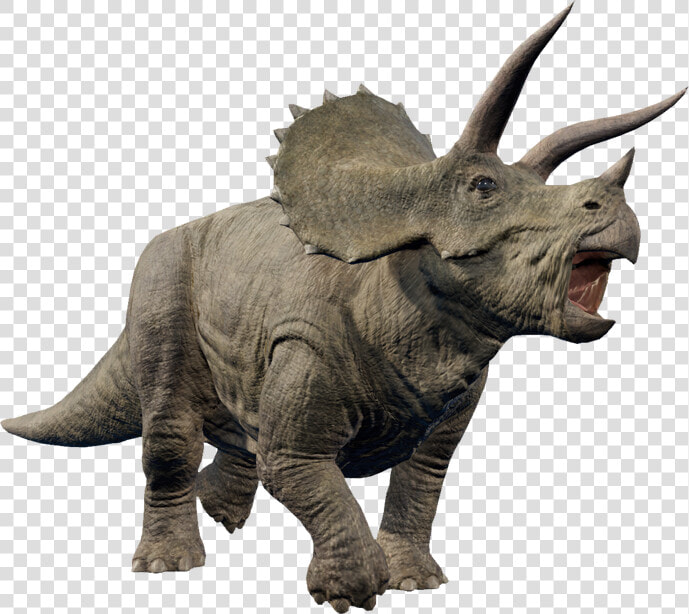     Jurassic World Evolution Triceratops Database  HD Png DownloadTransparent PNG