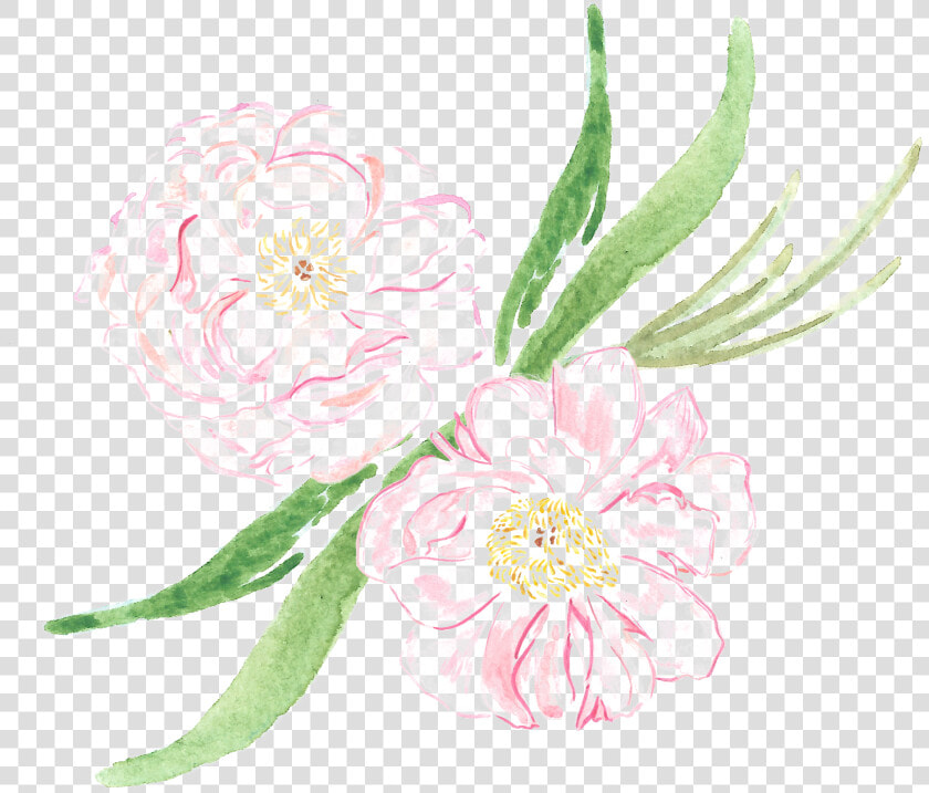 Arranjos Florais Sp   Common Peony  HD Png DownloadTransparent PNG