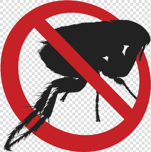 Download Flea Download Png Image   No Flea Logo Png  Transparent PngTransparent PNG