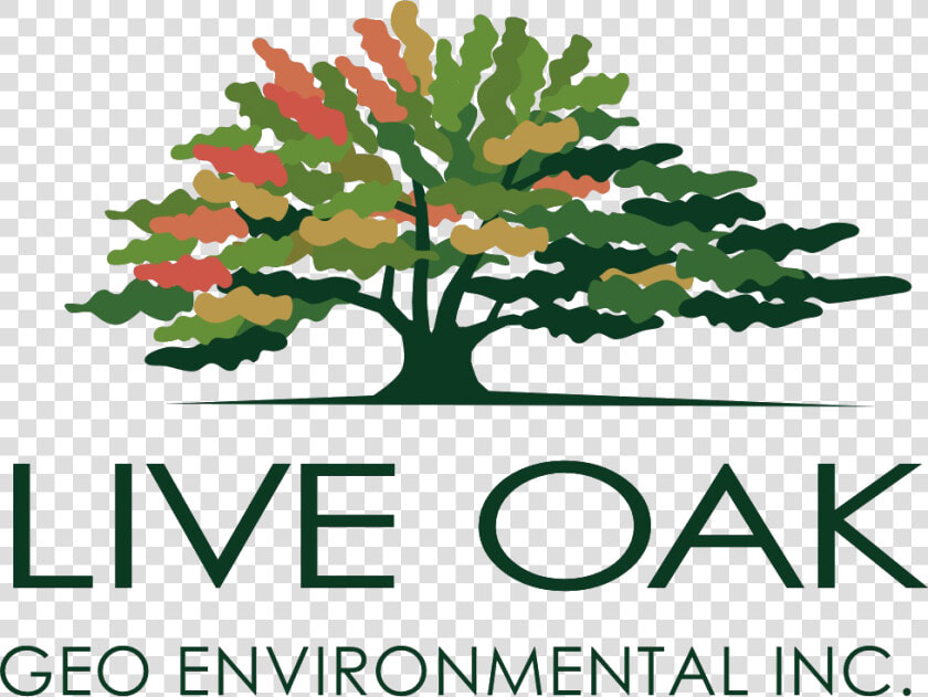 Live Oak Geoenvironmental   Live Oak Bank Logo  HD Png DownloadTransparent PNG