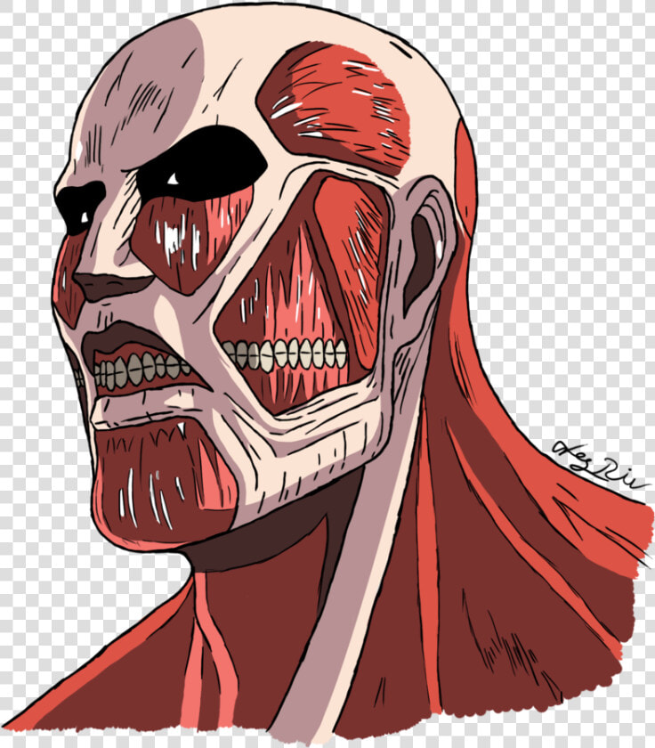 Attack On Titan Transparent Images   Attack On Titan Transparent  HD Png DownloadTransparent PNG