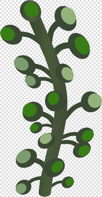 Firebog Underground Bogwillow 1 Clip Arts  HD Png DownloadTransparent PNG