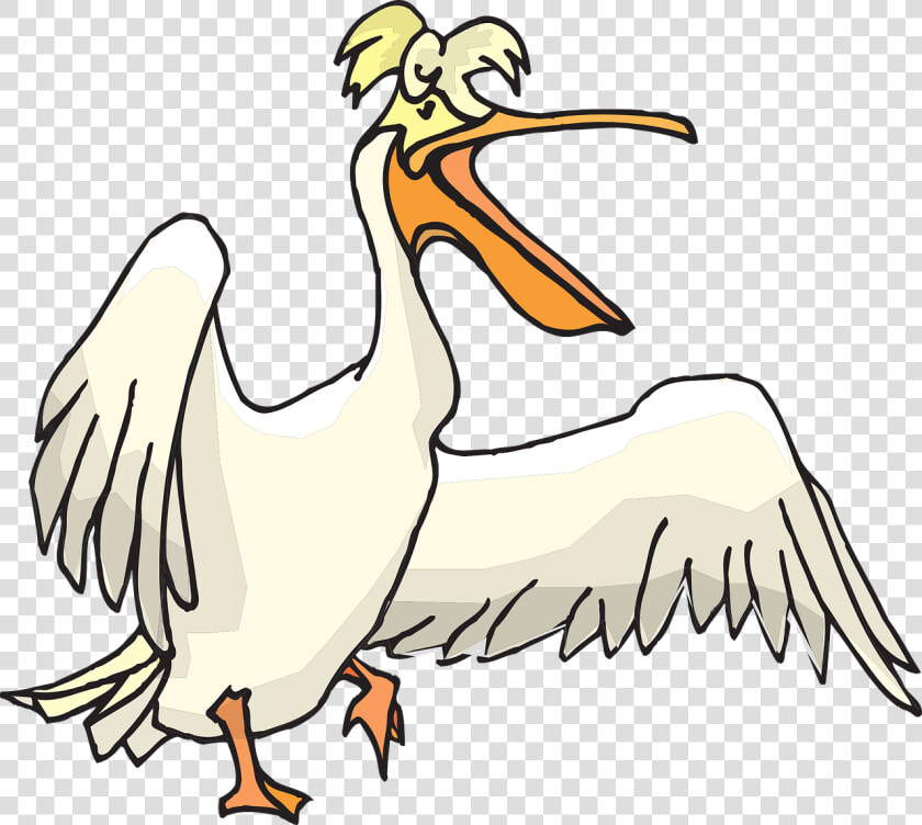 Pelican  Seabird  Pouch  Pelecanus Erythrorhynchos   Pelican Clipart Png  Transparent PngTransparent PNG