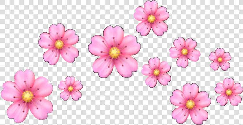  flower  heartcrown  flowercrown  pink  floweremoji   Iphone Pink Flower Emoji  HD Png DownloadTransparent PNG